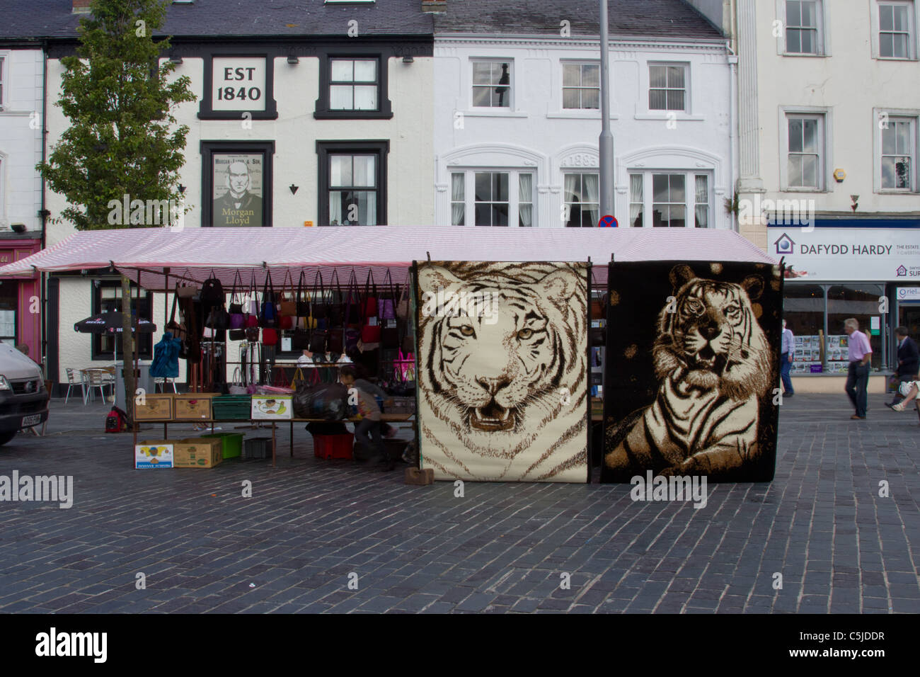 L'économie du tigre en Caernarfon Banque D'Images