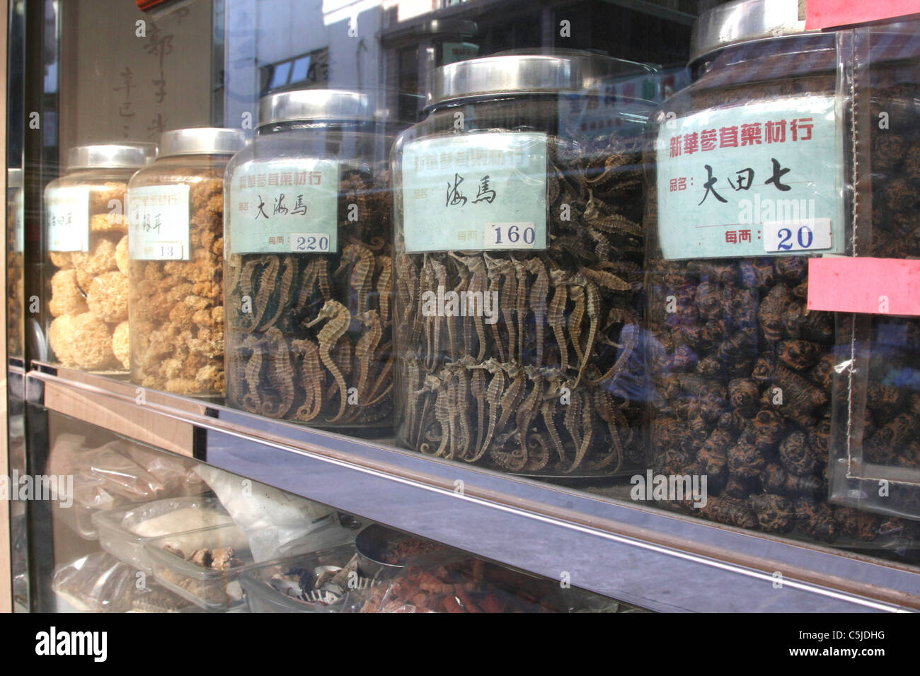 Les hippocampes séchés, pharmacie Cheung Chao, Hong Kong Banque D'Images