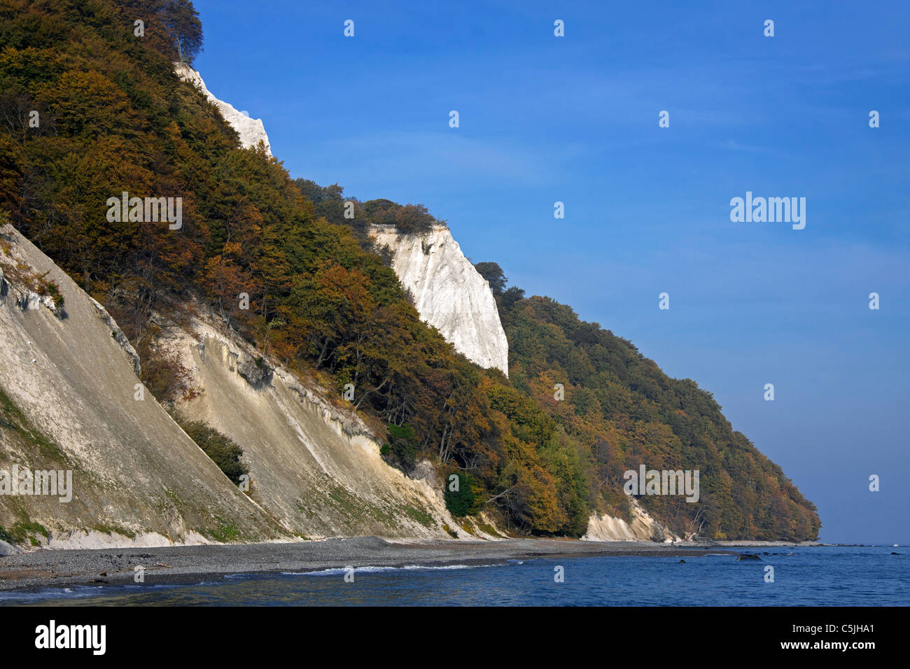 Falaises de craie à Koenigsstuhl / Königsstuhl, parc national de Jasmund, île de Rügen, Mecklembourg-Poméranie-Occidentale, Allemagne Banque D'Images