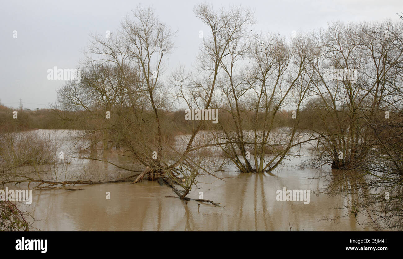 Les inondations dans la vallée de Soar, Leicestershire, UK, après une pluie torrentielle, 2008. La rivière Soar avait éclaté c'est les banques. Banque D'Images
