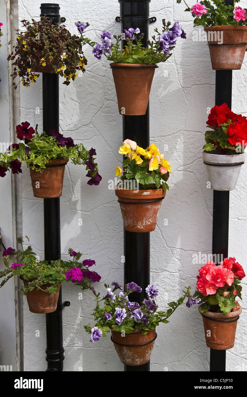 Fleurs d'été dans des pots de terre cuite attachés au drainpipe; RHS Royal Horticultural Show Tatton Park, Cheshire, juillet 2011. Banque D'Images