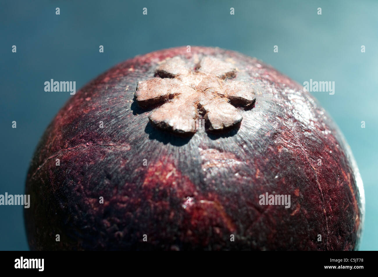 Le fond d'un mangoustan, un exotique, fruits tropicaux. Banque D'Images