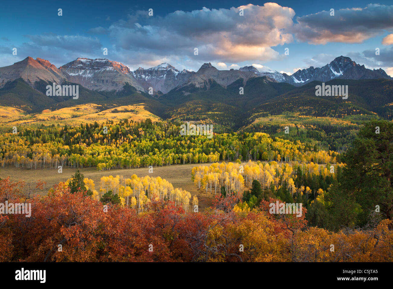 Couleurs d'automne et le Sneffels Range, montagnes de San Juan, au Colorado. Banque D'Images