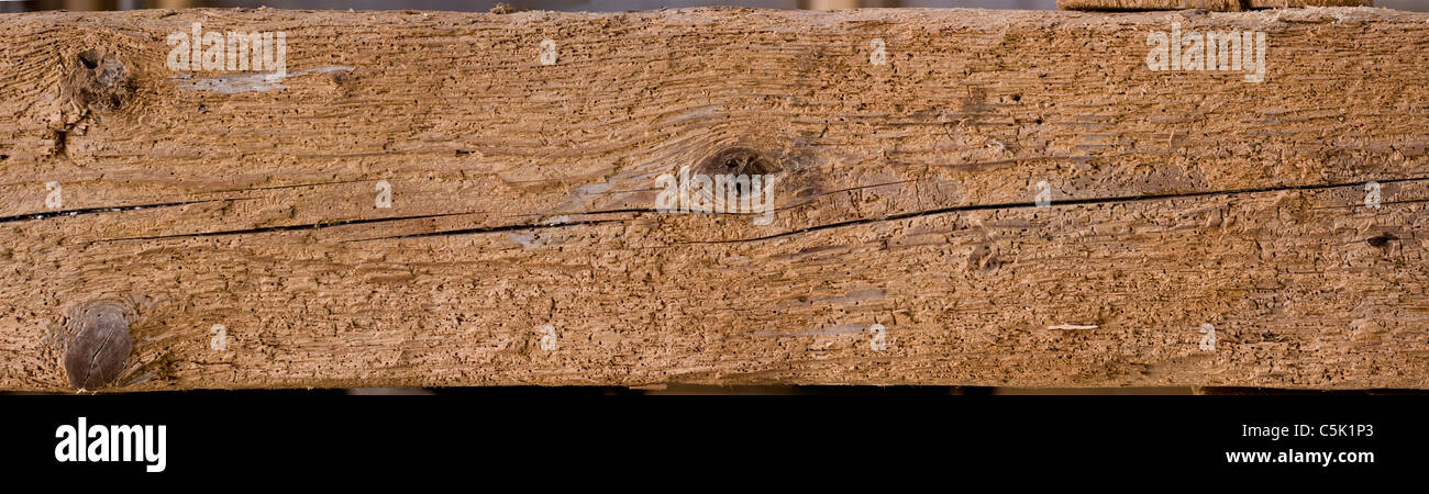 Vieux bois de construction avec woodworm Golf Polo wholes Banque D'Images