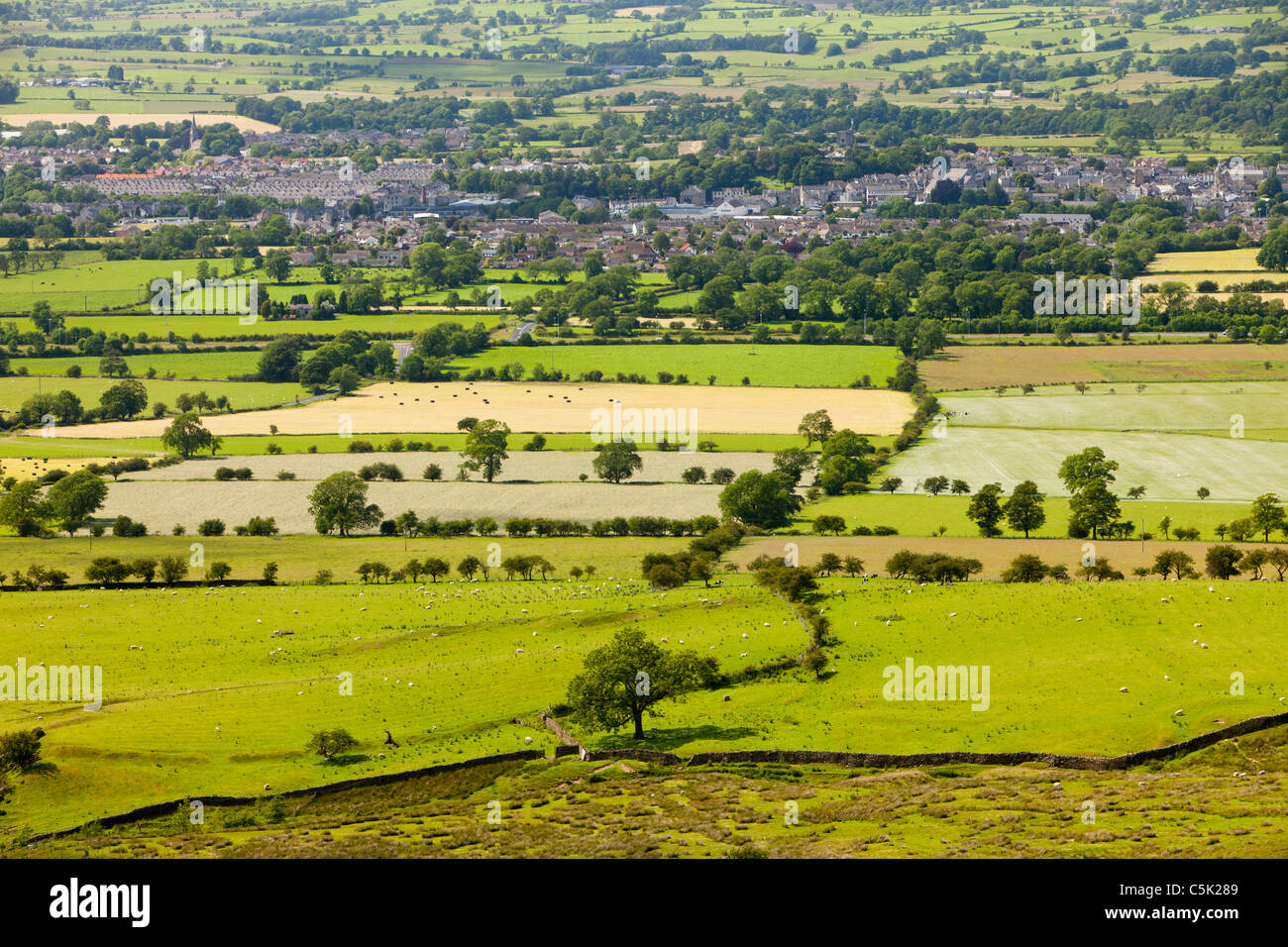 Champs ci-dessous Pendle Hill dans la vallée de Ribble, à l'égard Clitheroe, Lancashire, Royaume-Uni. Banque D'Images