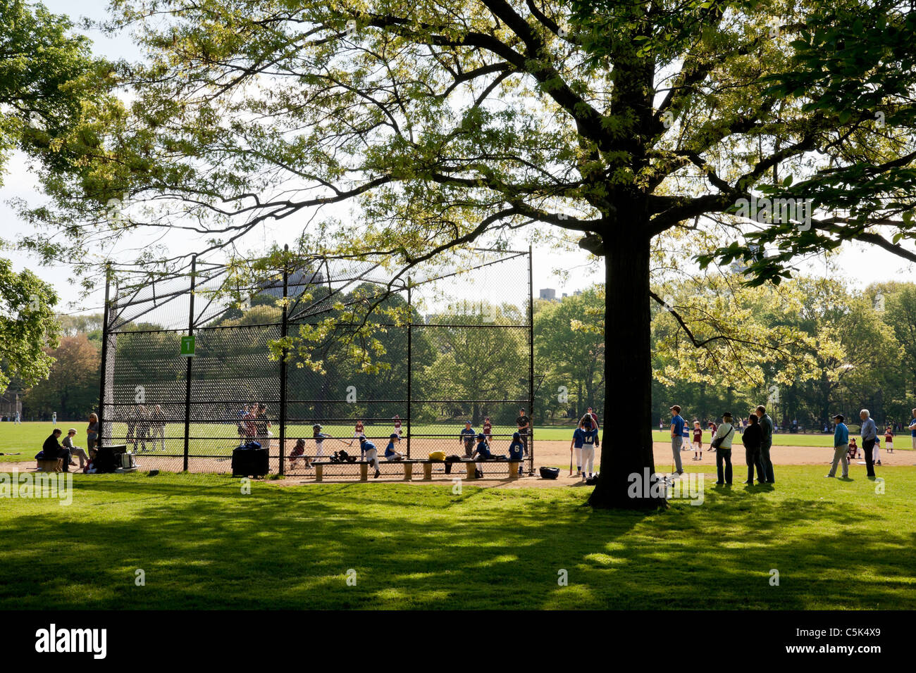 Match de la jeune fille, la grande pelouse, Central Park, NYC Banque D'Images