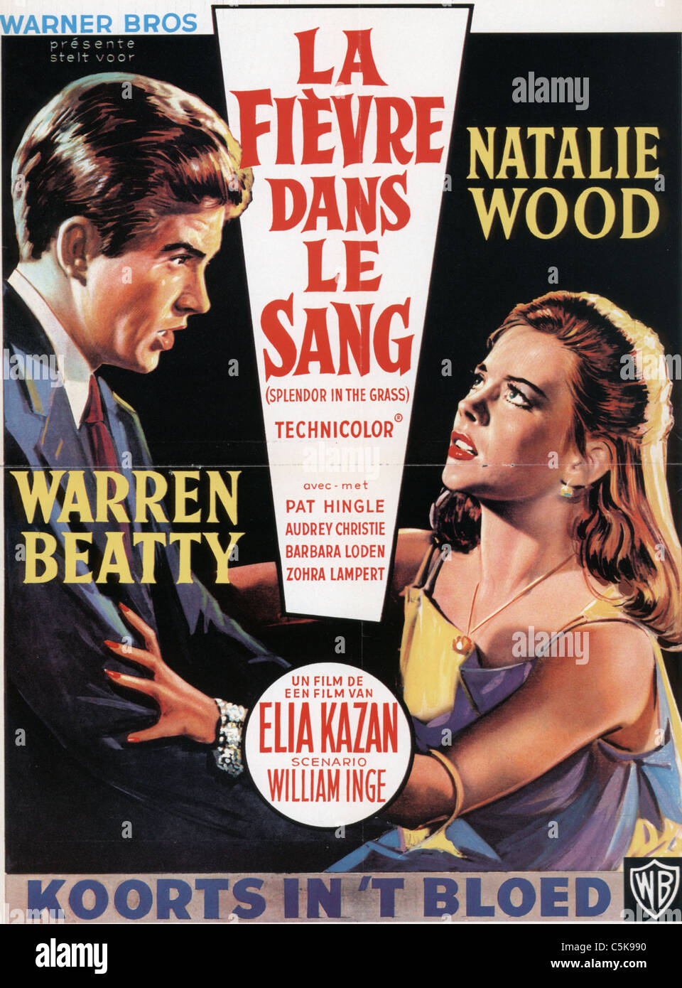 Splendor in the Grass Année : 1961 USA Réalisateur : Elia Kazan Movie poster (FR) Banque D'Images