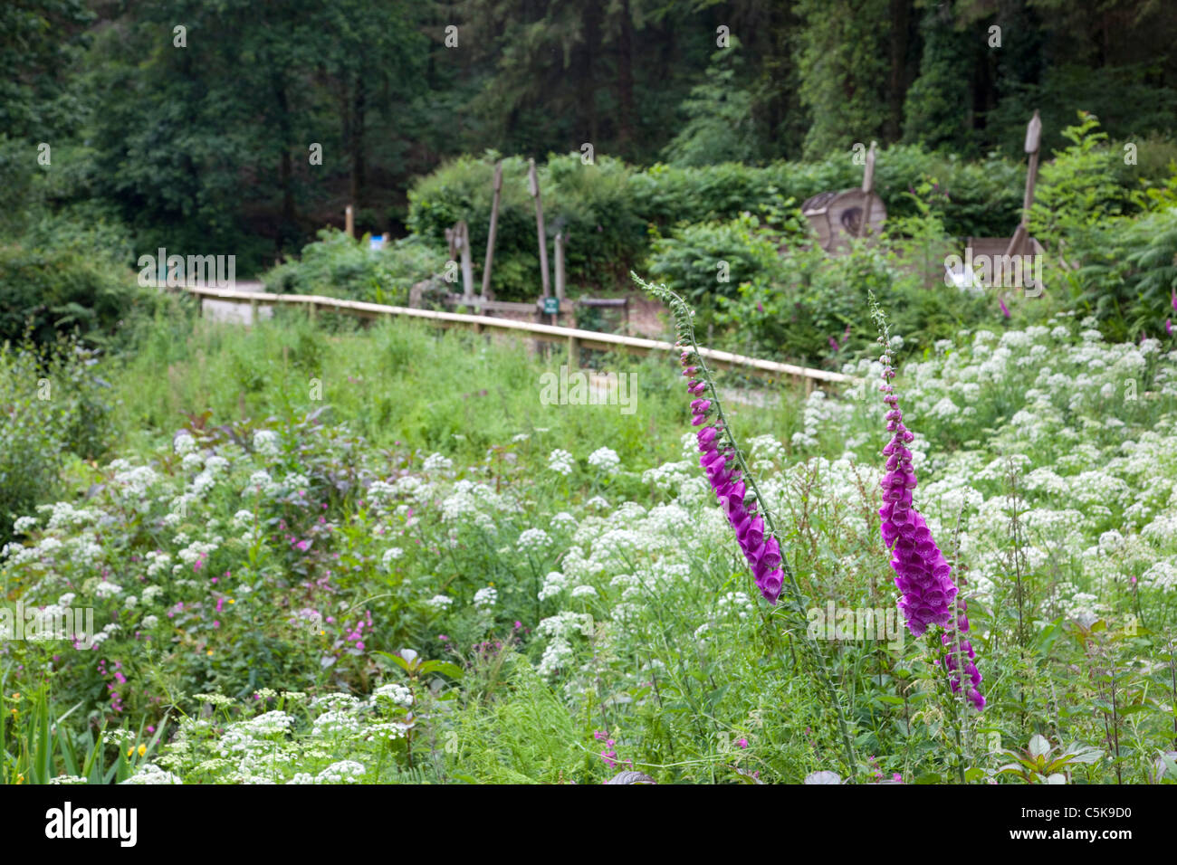 Cardinham Woods ; Cornwall, une aire de jeux pour enfants Banque D'Images