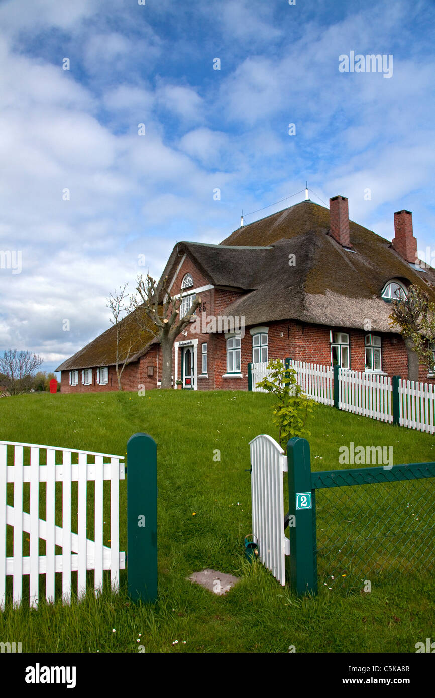 Ferme traditionnelle du nord-frison avec toit de chaume à Eiderstedt Péninsule, Schleswig-Holstein, Allemagne Banque D'Images