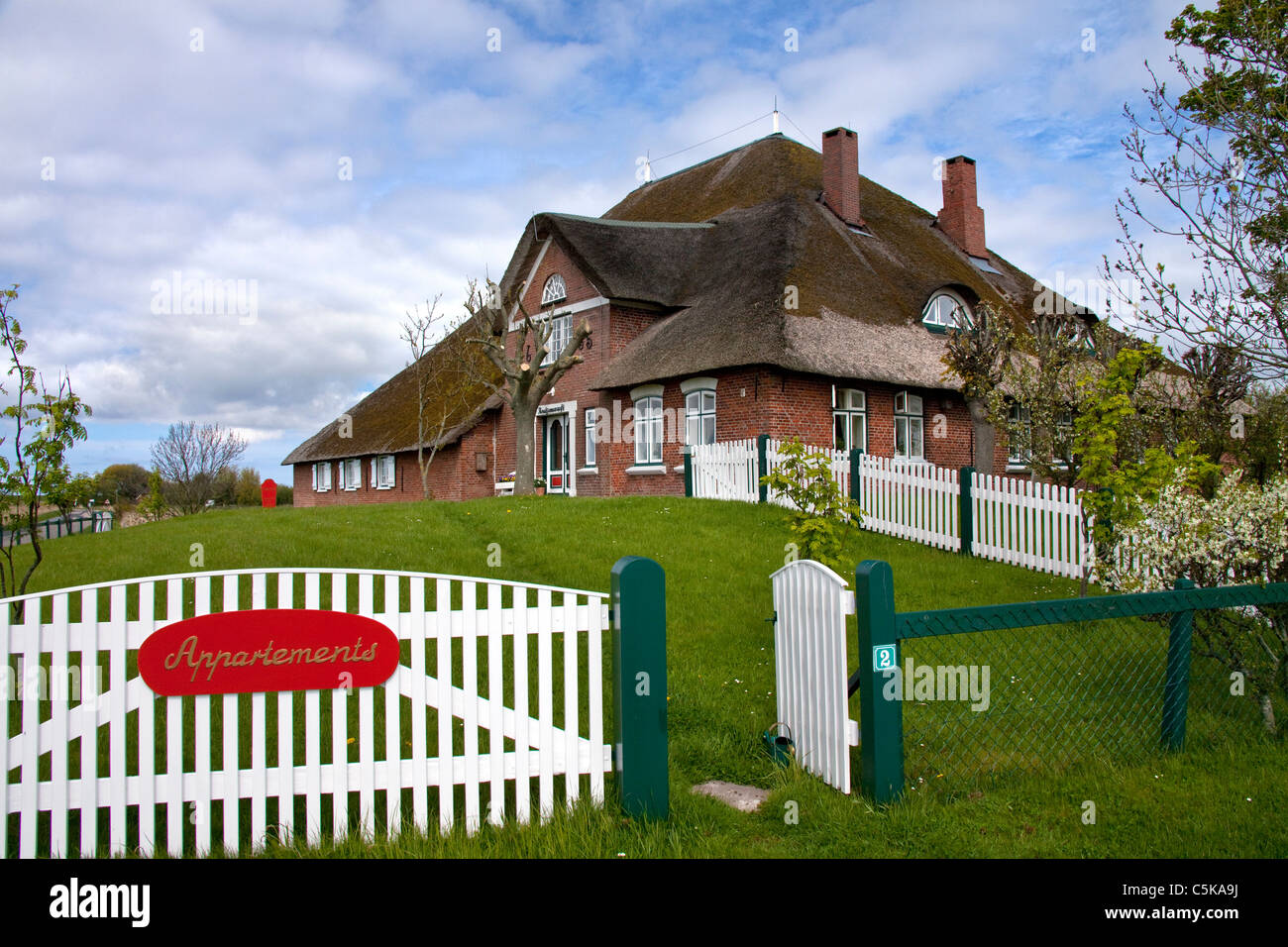 Ferme traditionnelle du nord-frison avec toit de chaume à Eiderstedt Péninsule, Schleswig-Holstein, Allemagne Banque D'Images