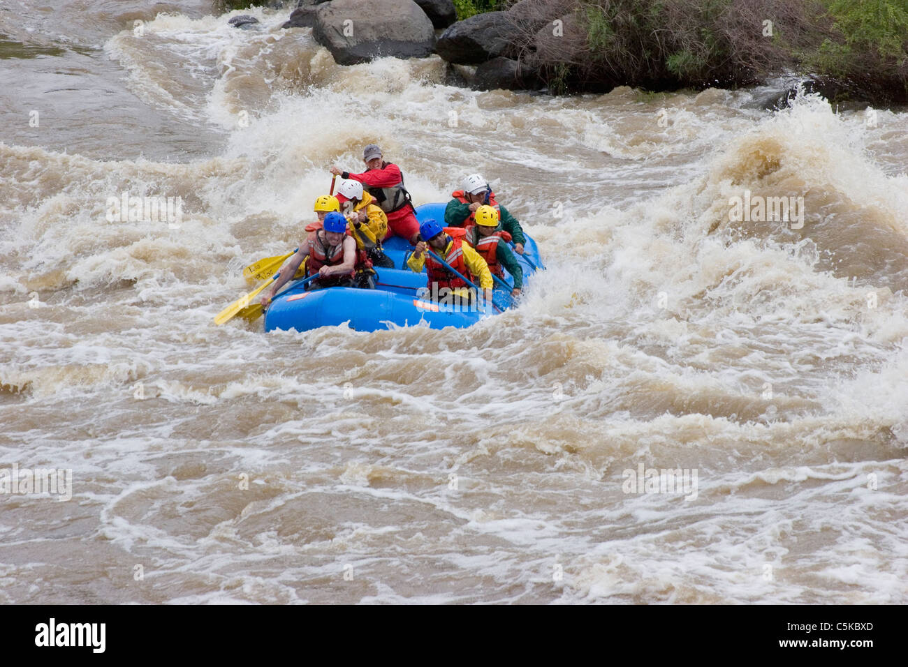 Les chevrons de la rivière en eau vive sur le Rio Grande Banque D'Images