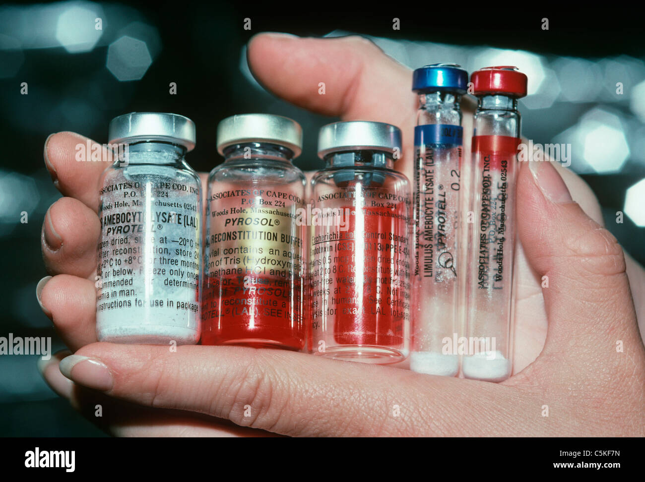 Bouteilles de sang que les scientifiques extraites de limule (Limulus polyphemus). Woods Hole, Massachusetts, USA Banque D'Images