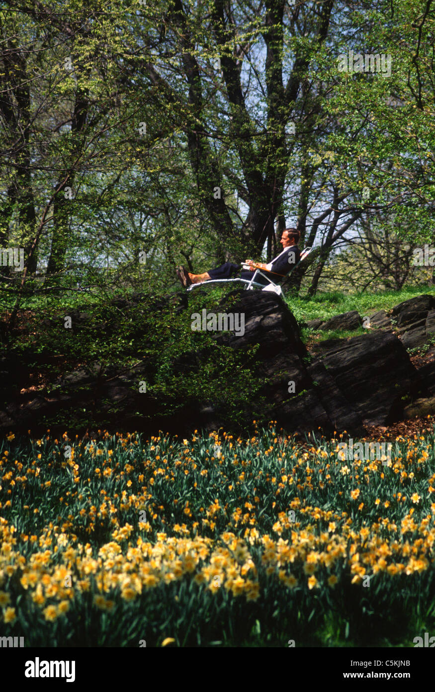 Lit de jonquilles et de l'homme sur la chaise longue, Central Park, NYC  Photo Stock - Alamy