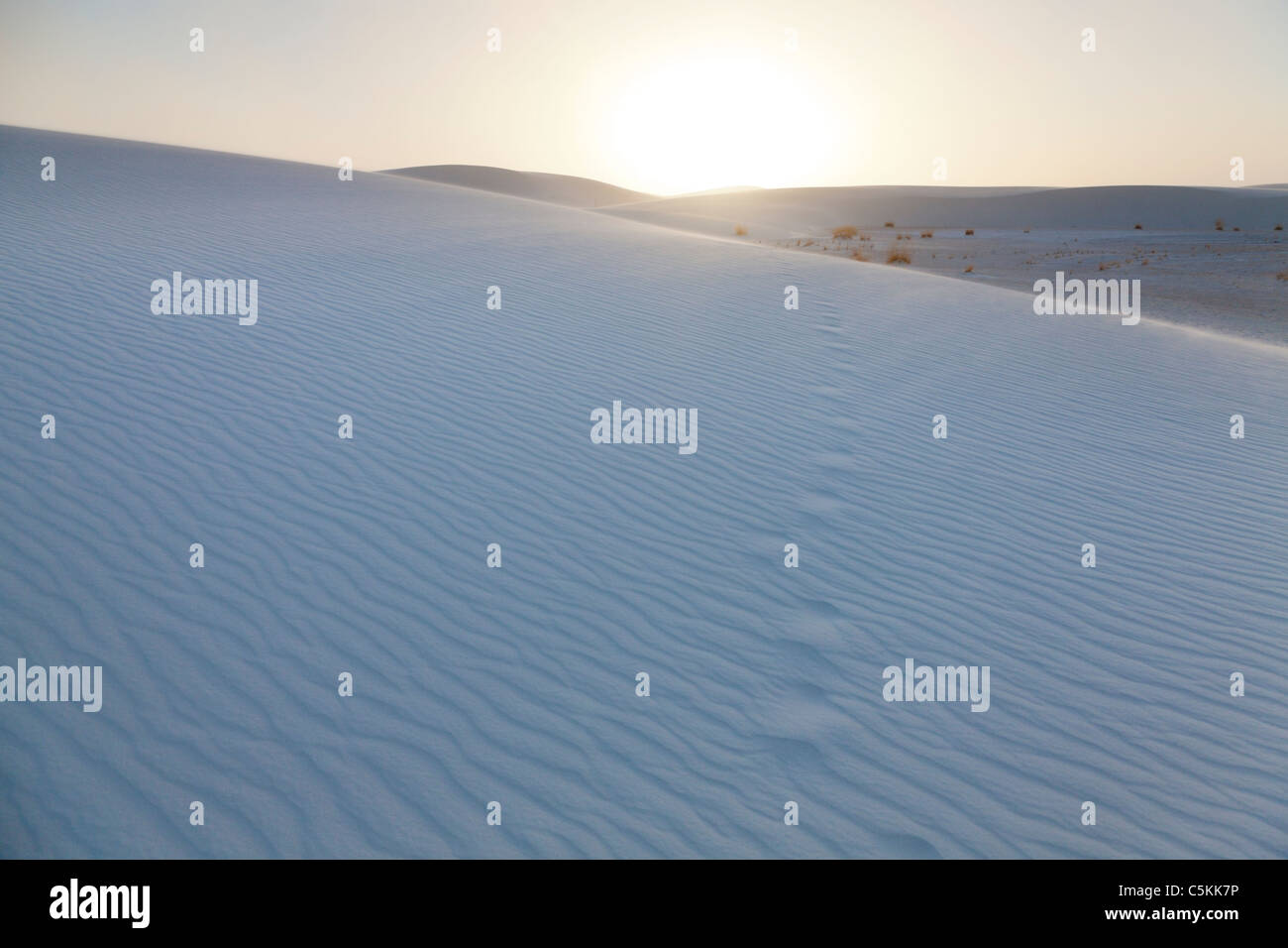 Dunes de sable au coucher du soleil Banque D'Images