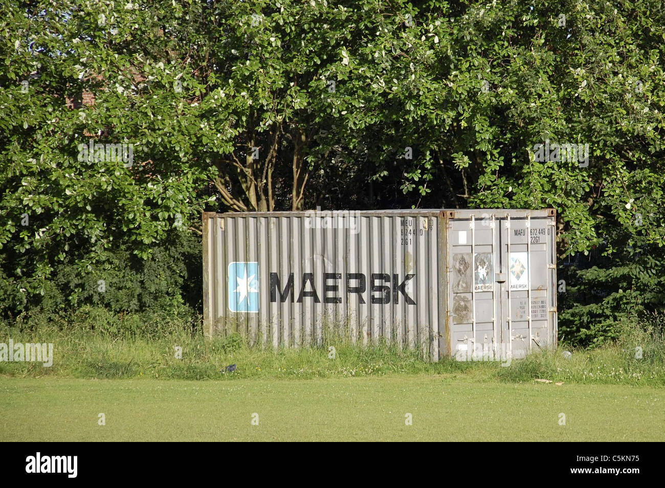 Conteneur Maersk logo situé sur la masse de réserve entre les arbres. Banque D'Images
