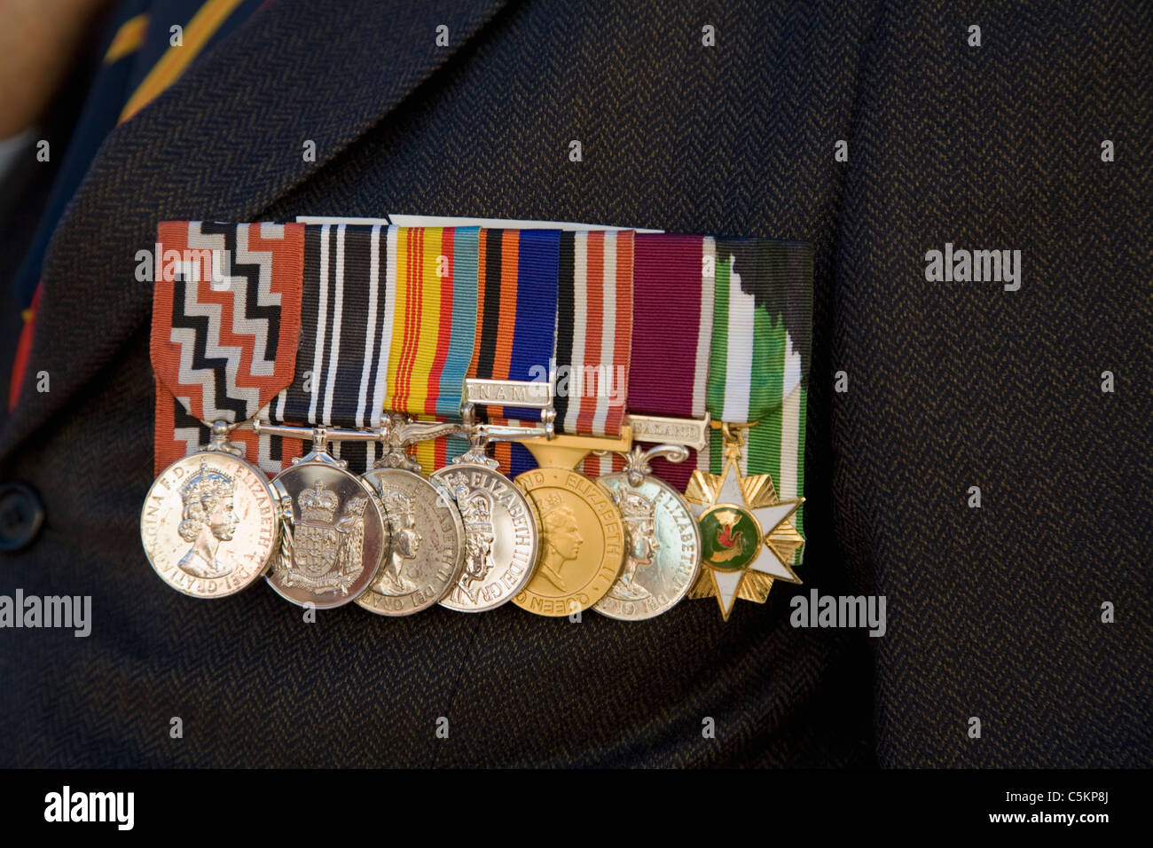 Close-up de 7 médailles pour le service néo-zélandais au Vietnam sur veste en tweed de l'EIR, défilé des anciens combattants du Vietnam, 2008 Banque D'Images