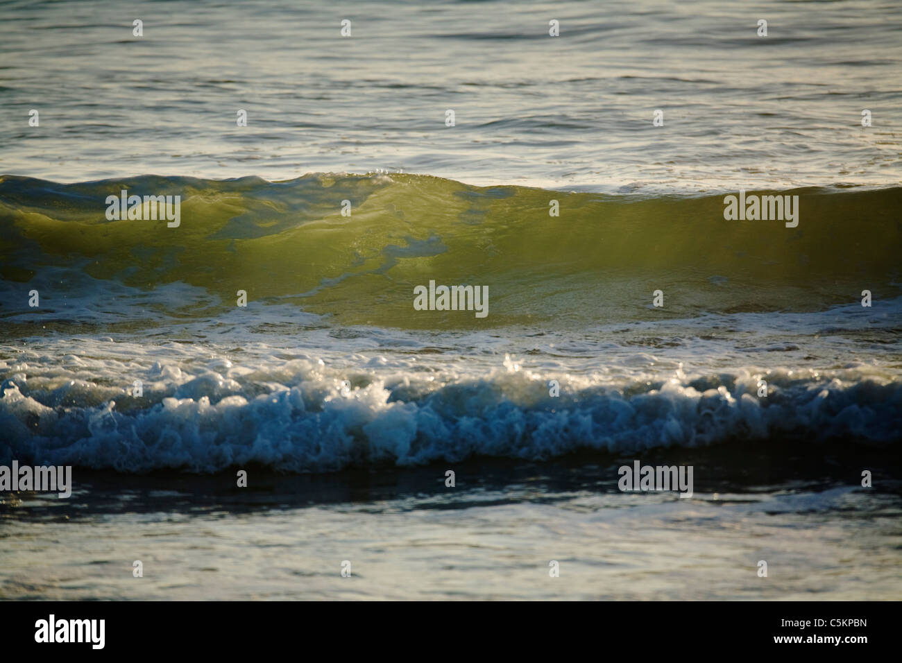 Une petite vague cresting à la plage avec la lumière du soleil qui, à travers la baie Lyall, Wellington, Nouvelle-Zélande Banque D'Images