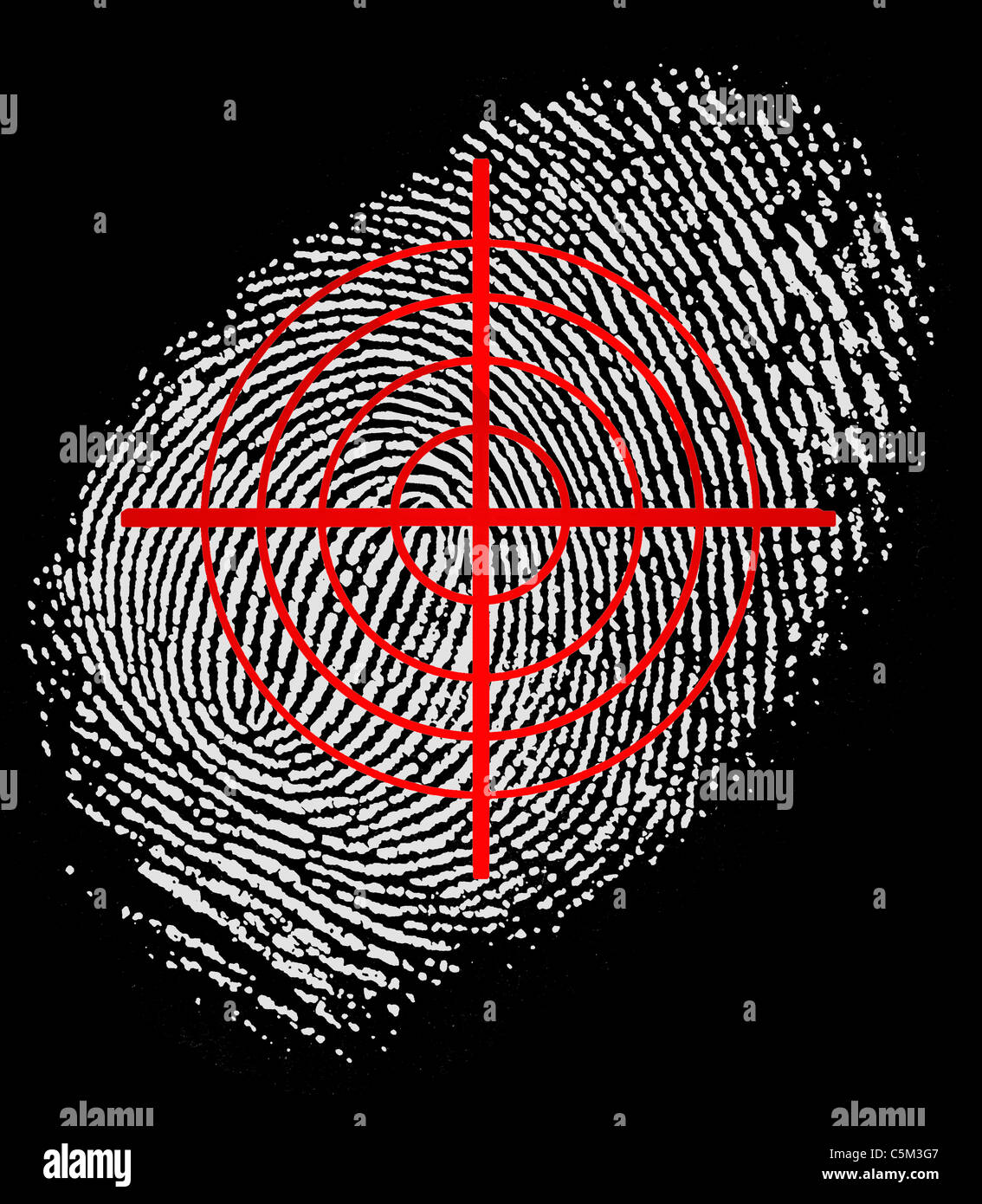 Site d'armes à feu réticules fingerprint Banque D'Images