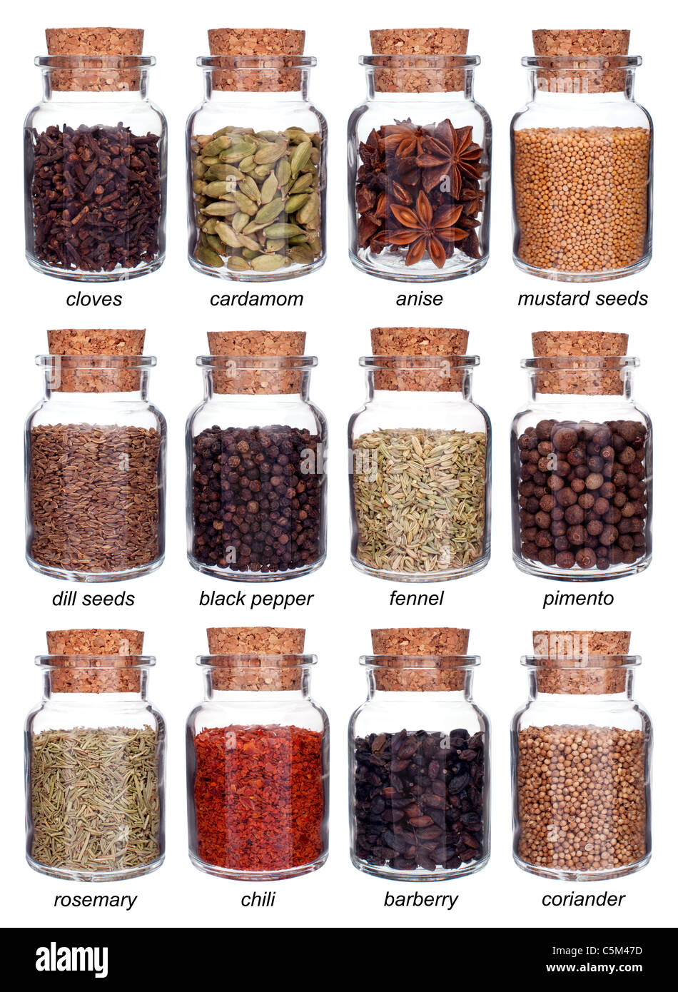 Bouteilles en verre plein de différentes espèces isolé sur fond blanc avec légende Banque D'Images