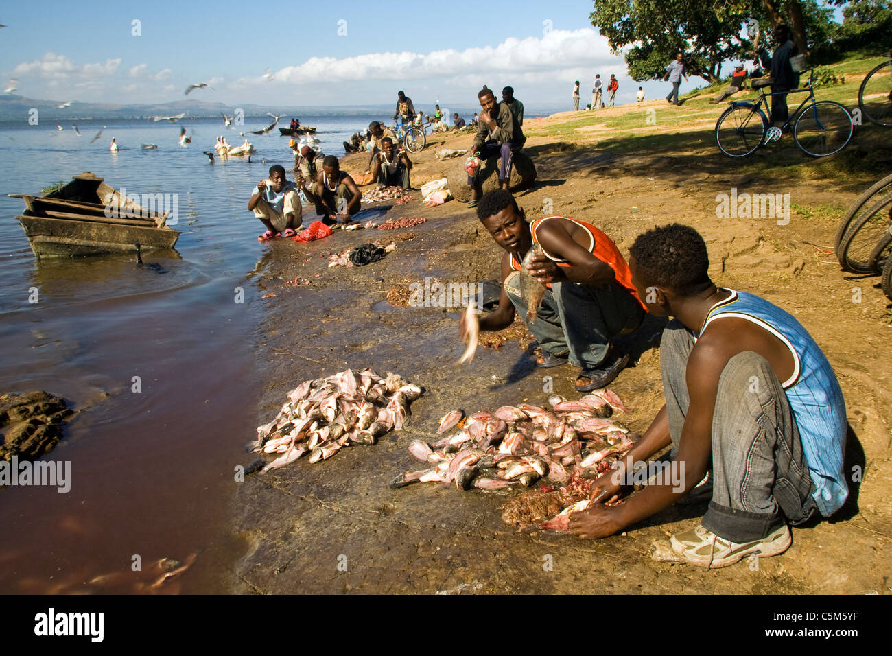 Lac Awasa Ethiopie Pêcheurs Banque D'Images