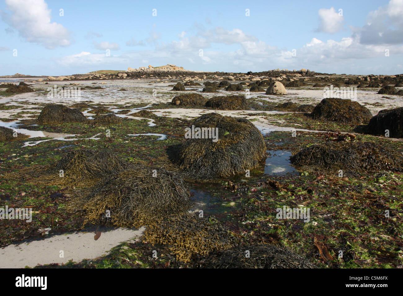 Plage de Sainte Marguerite Landeda Bretagne Banque D'Images