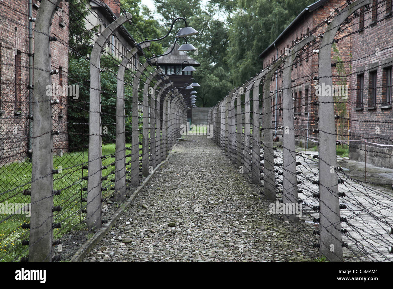 Auschwitz détail de clôture électrique Banque D'Images