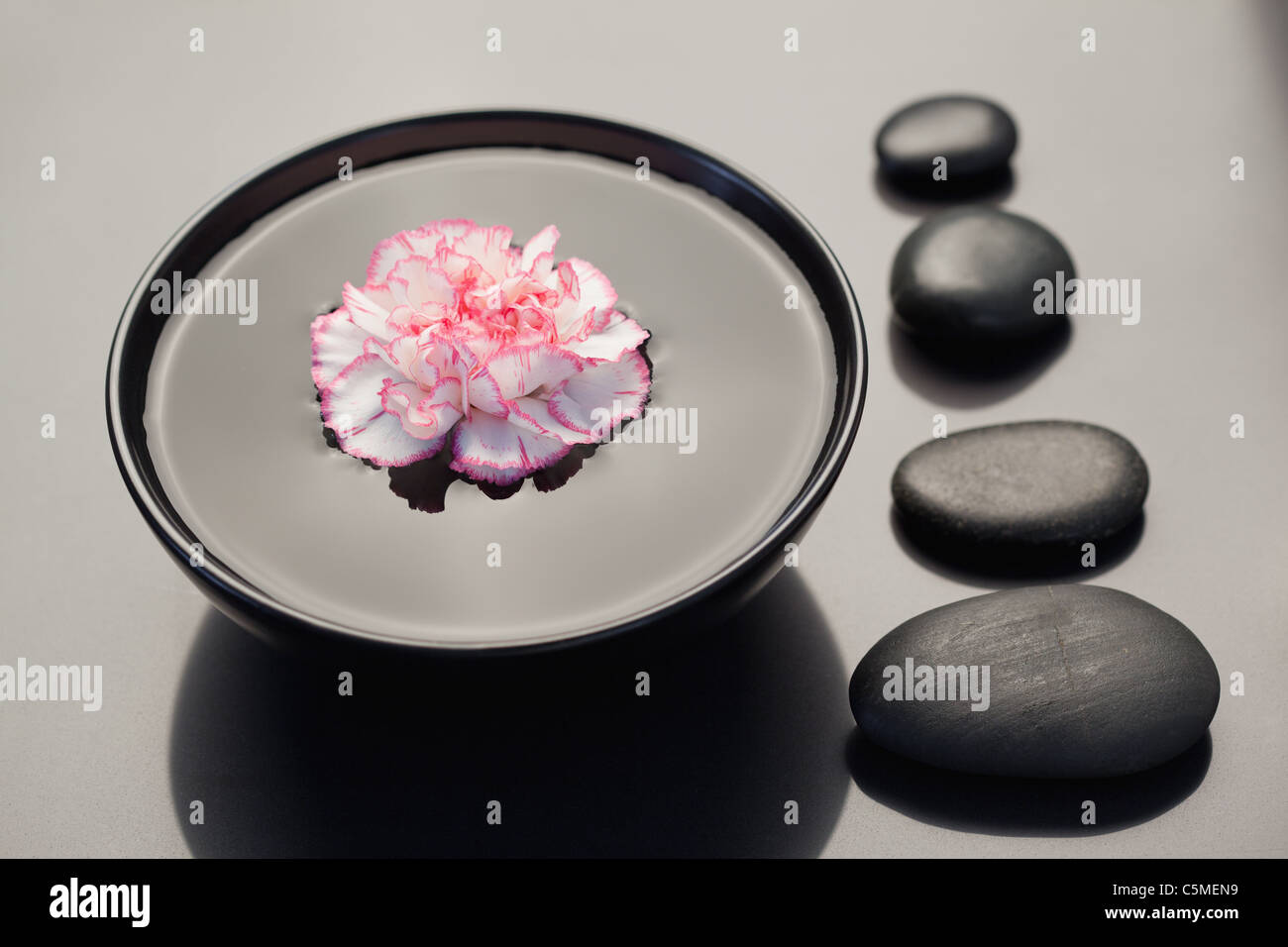Oeillet rose et blanc flottant dans un bol noir avec pierres noires alignées sur le côté Banque D'Images