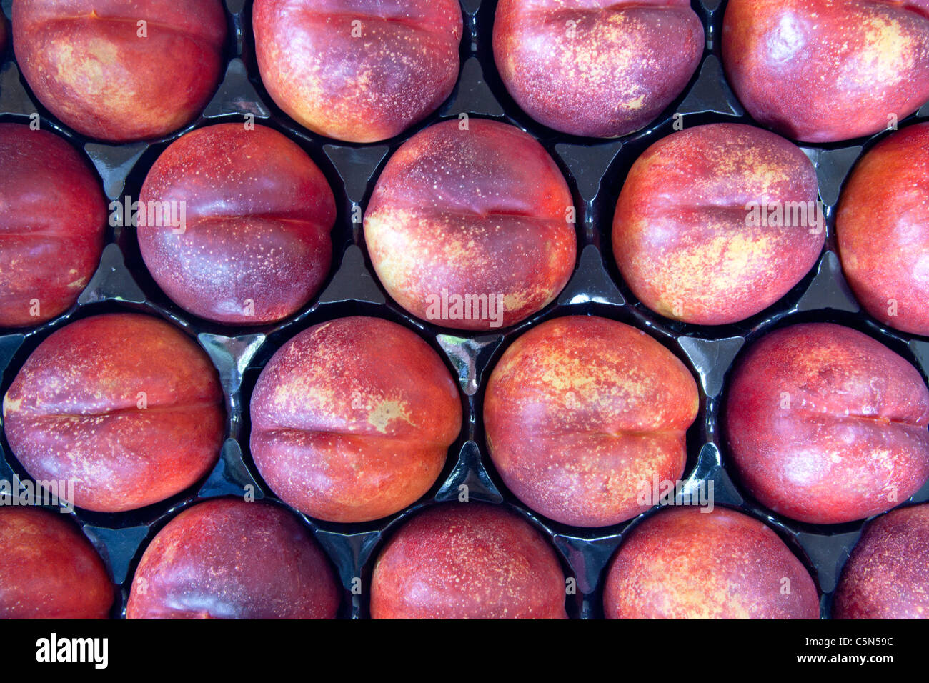 Les nectarines Miel 'Blaze', bac, Banque D'Images