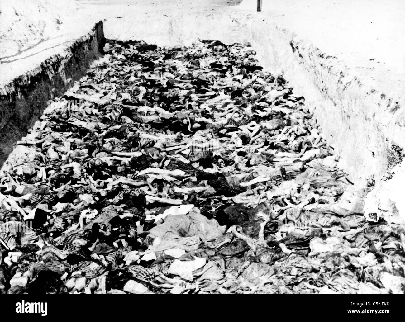 Camp de concentration de Belsen, 1945 Banque D'Images