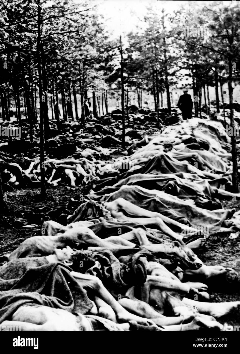 Camp de concentration de Belsen, 1945 Banque D'Images
