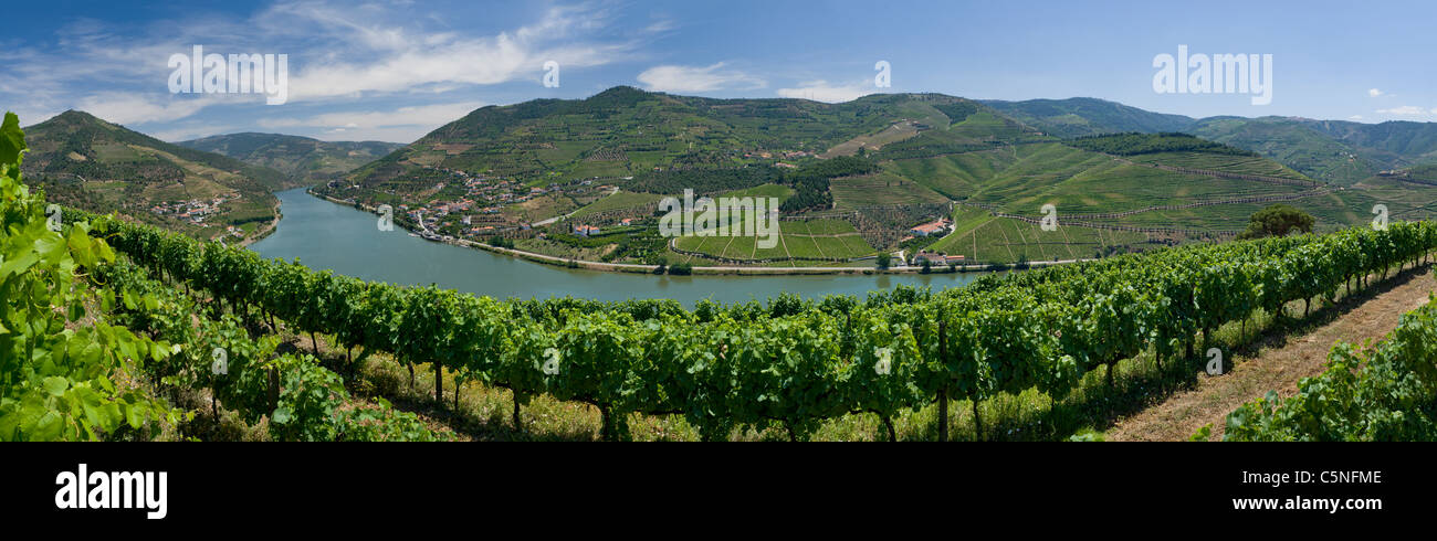 Le Portugal, de vignes près de Bagauste, Peso da Régua dans la vallée du Douro, le quartier du Vin de Porto Banque D'Images