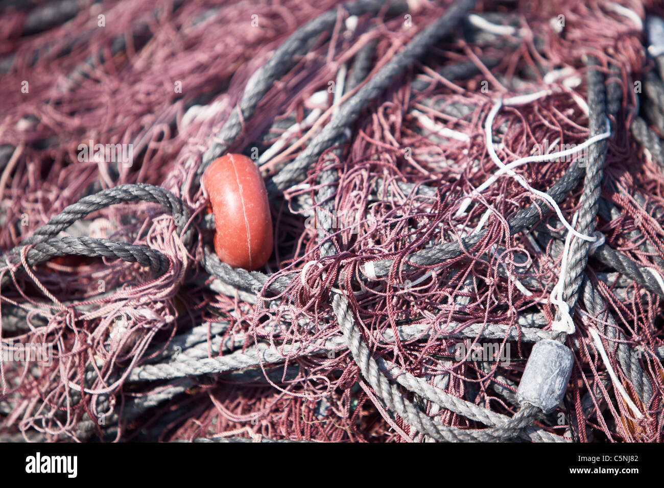 Close-up filet de pêche commerciale et des cordes Banque D'Images