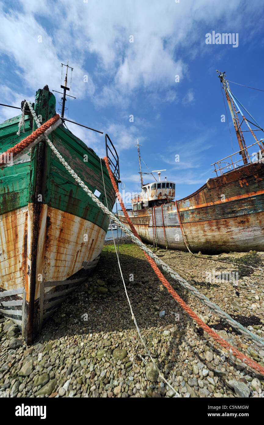 Les épaves de bateaux de pêche petit chalutier dans le port de Camaret-sur-Mer, Finistère, Bretagne, France Banque D'Images