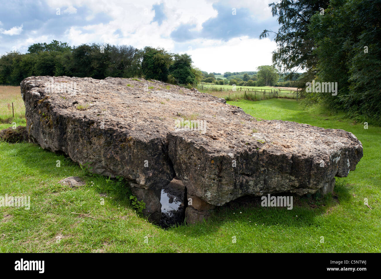 Tinkinswood sépulture néolithique mégalithe néolithique chambre Cowbridge South Wales UK Banque D'Images