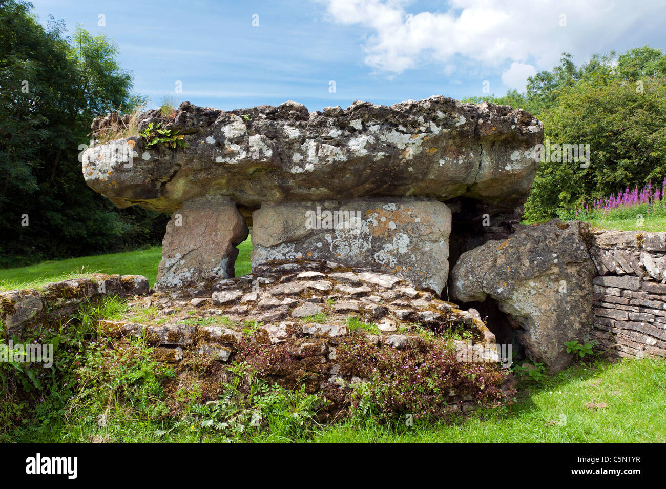 Tinkinswood sépulture néolithique mégalithe néolithique chambre Cowbridge South Wales UK Banque D'Images