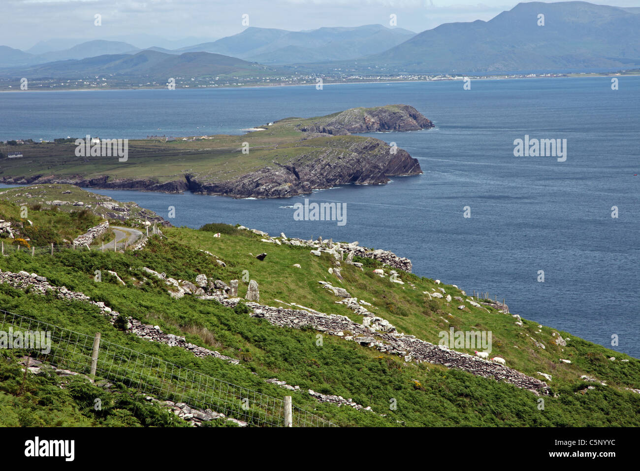 La baie de Ballinskelligs, Kerry côte de Cill Rialaig, Irlande Banque D'Images