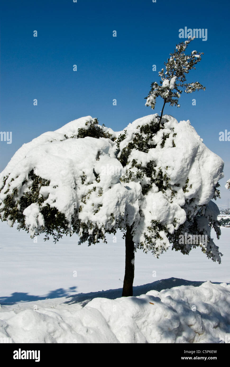 Paysage de neige dans la région de La Plana de Vic Banque D'Images