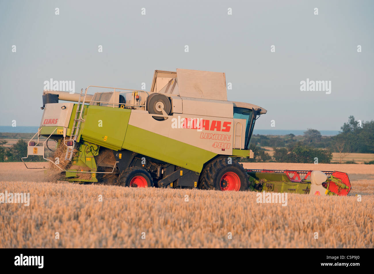 La récolte d'orge, Suffolk, UK. Banque D'Images