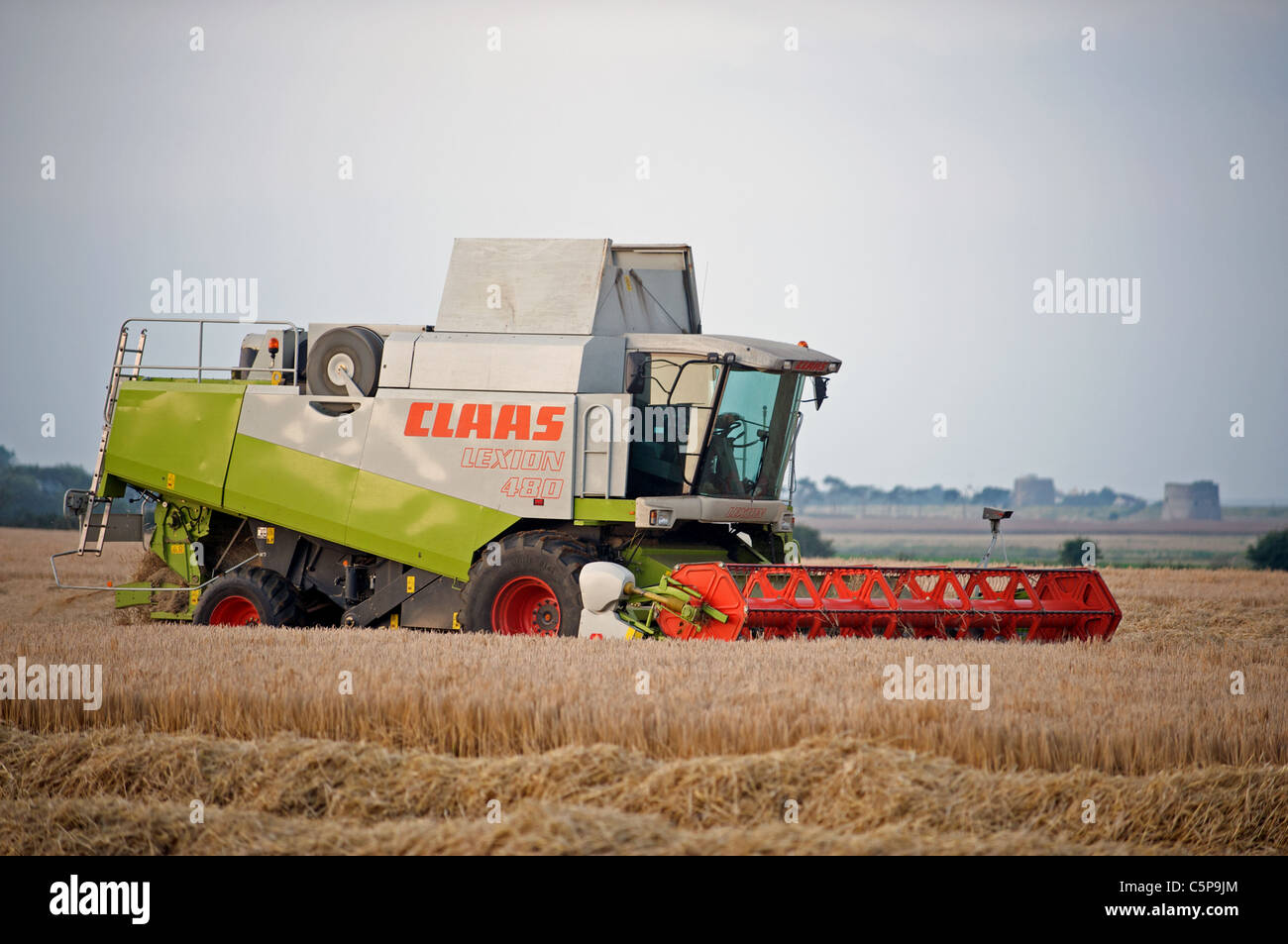 La récolte d'orge, Suffolk, UK. Banque D'Images