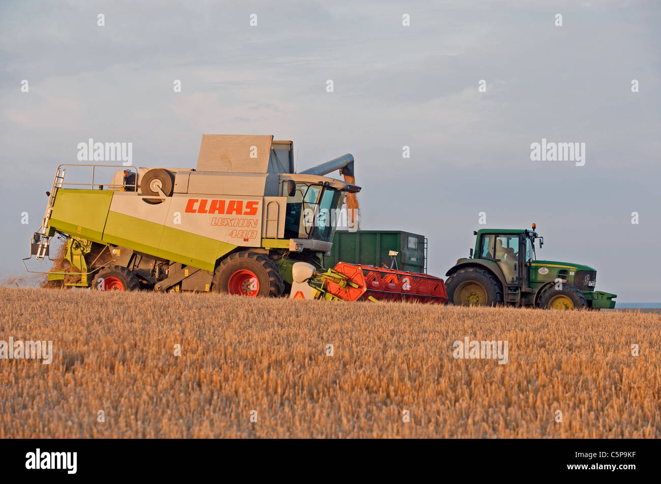 La récolte d'orge, Suffolk, UK. Banque D'Images