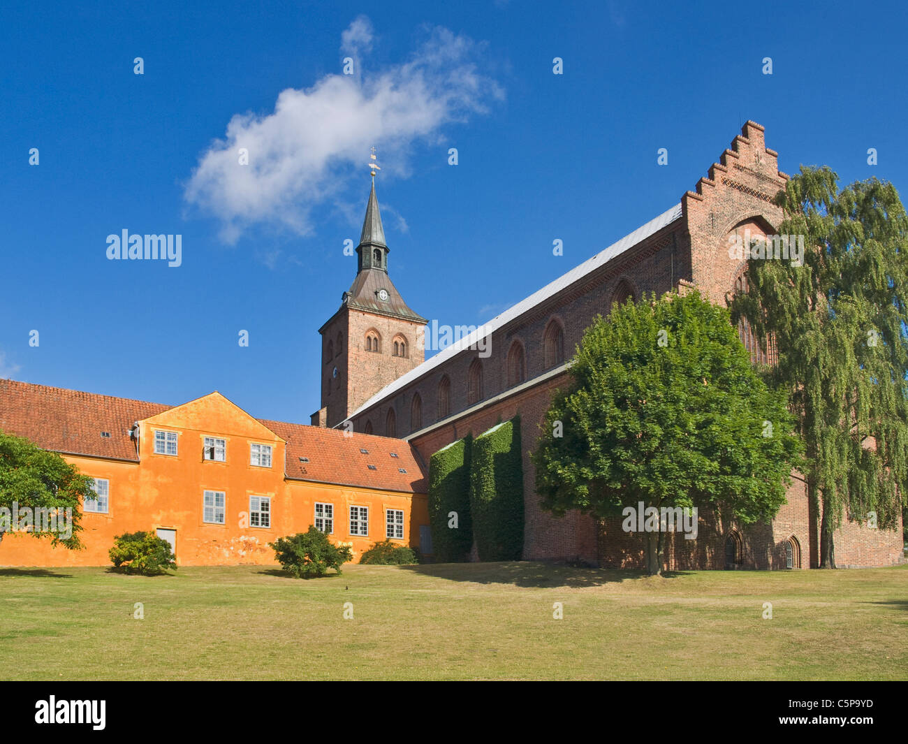 Il la cathédrale gothique Saint Canut, Municipalité d'Odense, Danemark du Sud, région île de Fionie, au Danemark, en Europe Banque D'Images