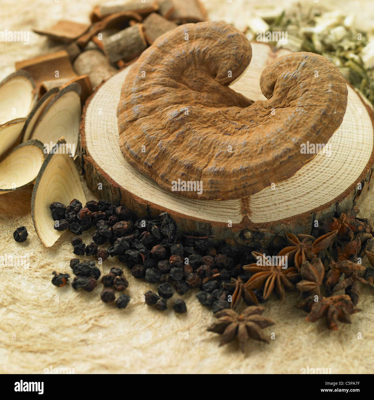 Reish et champignons herbes séchées Banque D'Images