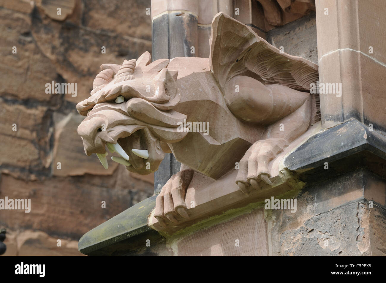 Gargouille sculptée d'un lion sur le côté sud de la chapelle de la Vierge de la cathédrale de Lichfield Staffordshire England Banque D'Images