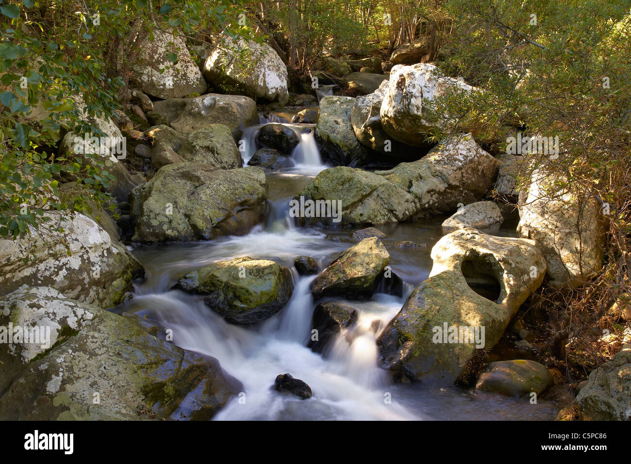 Chutes d'eau à San Carlos del Tiradero, parc naturel Los Alcornocales, creek, arroyo, río, cascada Banque D'Images