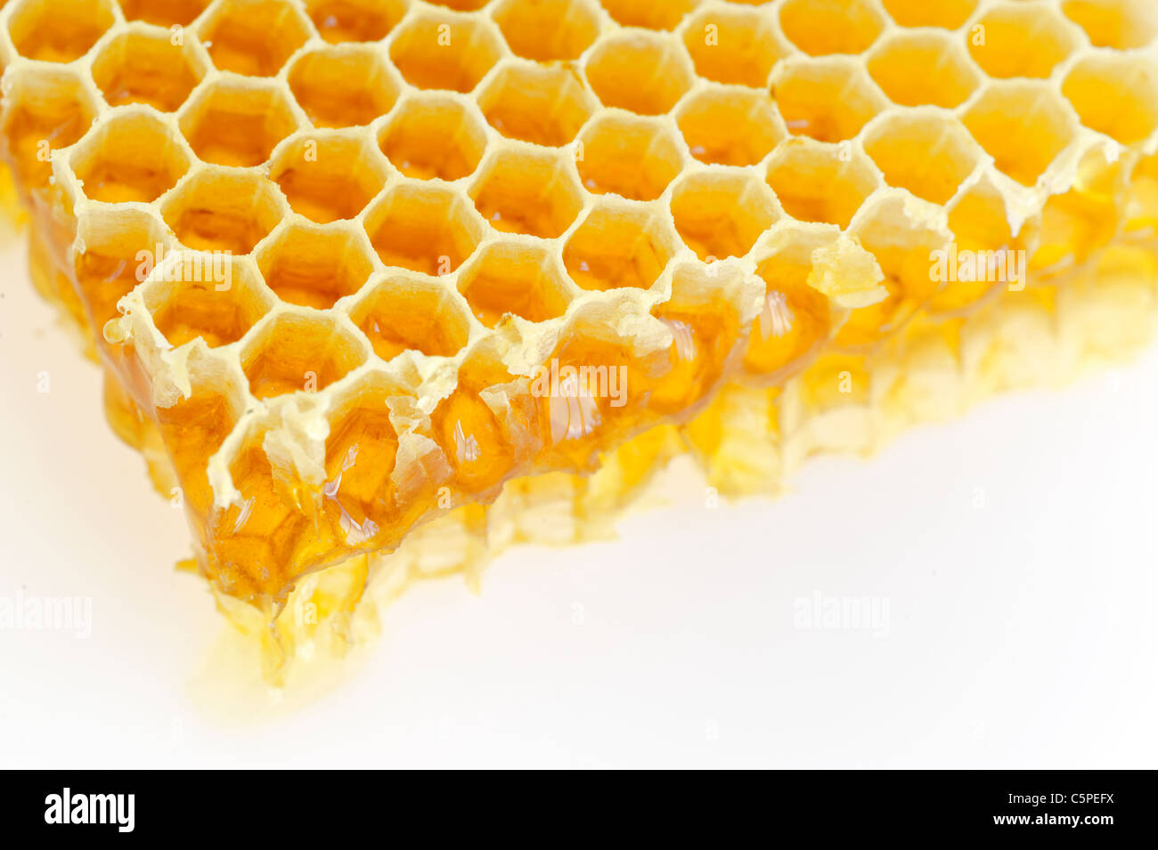 Honeycomb isolated on white Banque D'Images