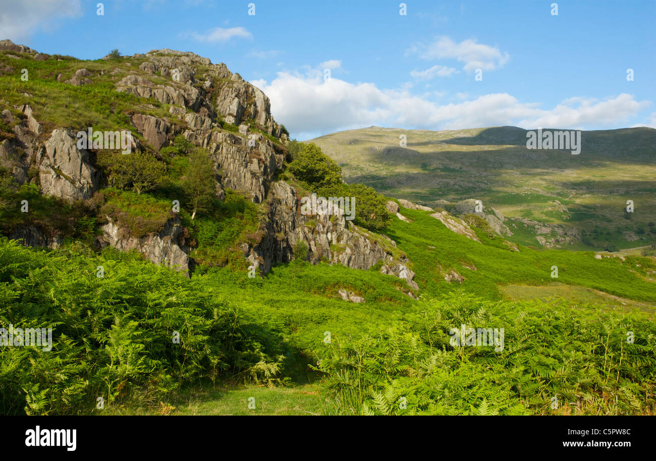 Paysage rocheux dans la vallée de Duddon, Parc National de Lake District, Cumbria, Angleterre, Royaume-Uni Banque D'Images