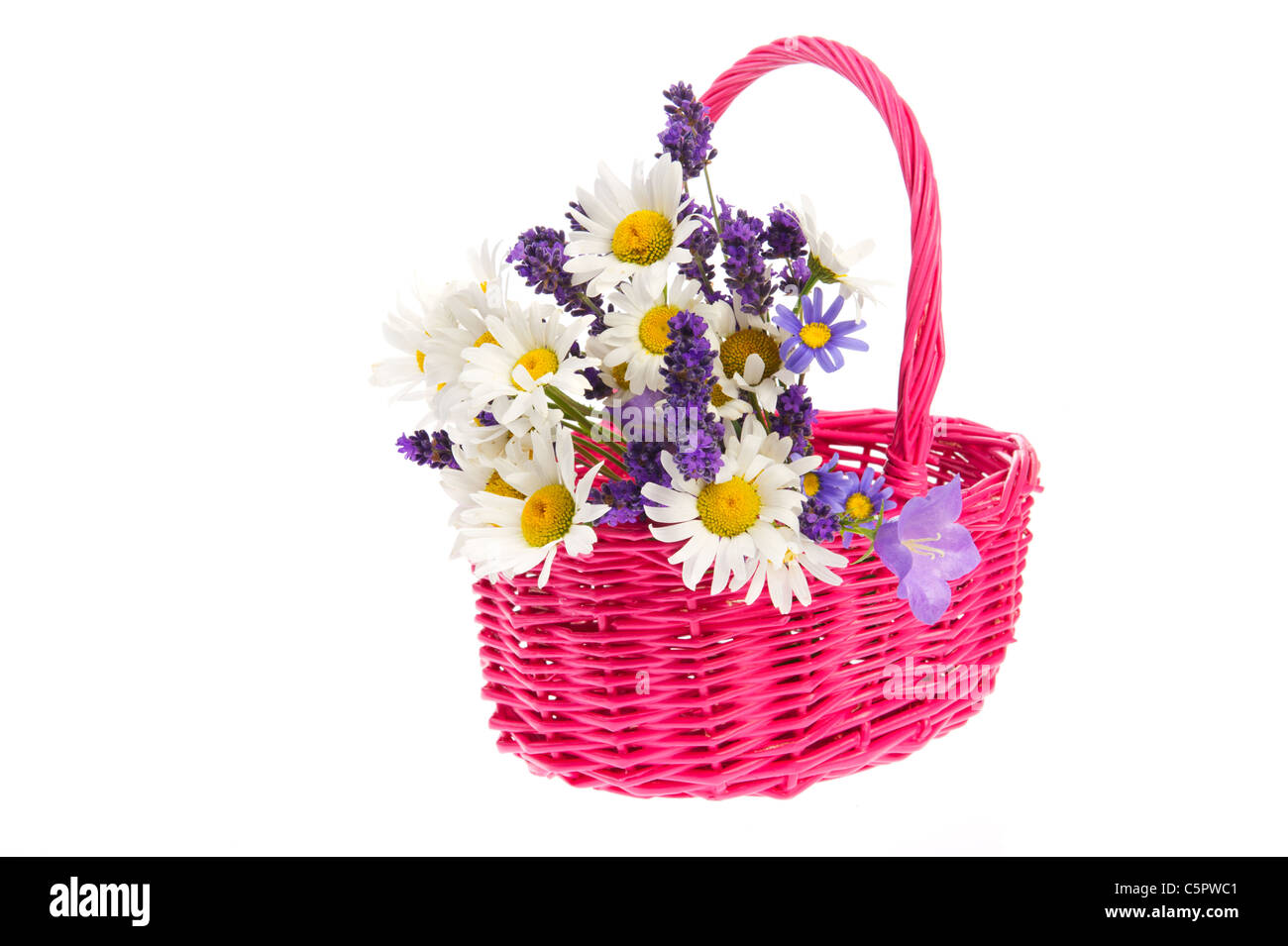 Panier de roses colorées fleurs sauvages isolated over white Banque D'Images