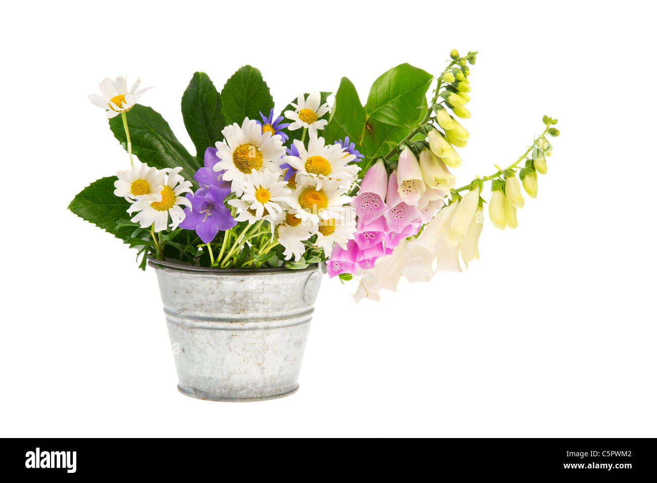 Gros plan des fleurs mauve et blanc marguerites et autres fleurs sauvages dans la benne Banque D'Images