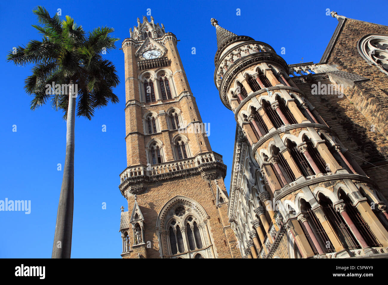 L'université (1869-1878), Mumbai, Inde Banque D'Images