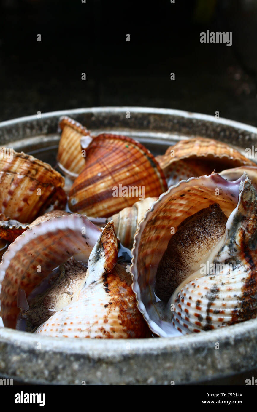 Escargots en pot de pierre à Hong Kong Banque D'Images Escargots en pot de pierre à Hong Kong Banque D'Images